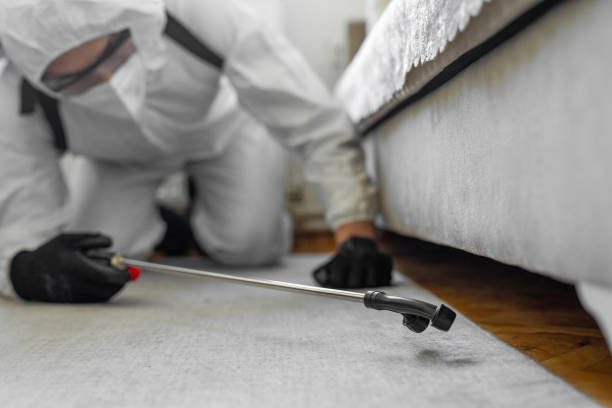Professional Bed Bug Control technician working in Morgantown, WV