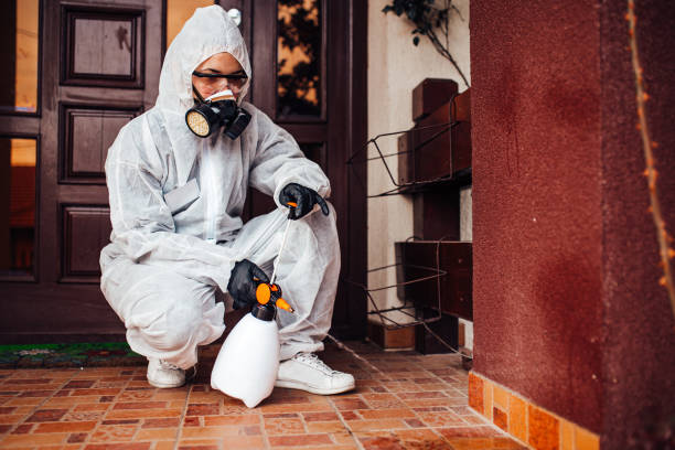 Reliable Bed Bug Control contractor in Morgantown, WV by Nex Pest Control