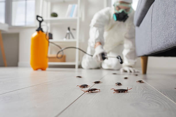 Trusted Fumigation Services service in Morgantown, WV - Nex Pest Control