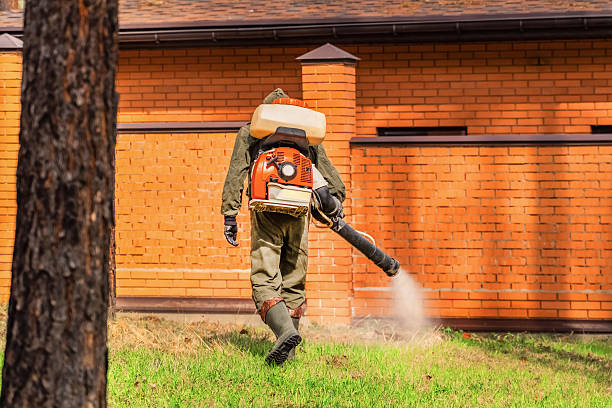 Trusted Mosquito Control service in Morgantown, WV - Nex Pest Control